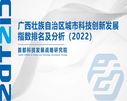 插大逼【成果发布】广西壮族自治区城市科技创新发展指数排名及分析（2022）